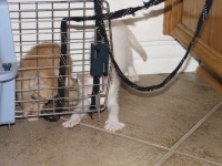 20100206 434.JPG